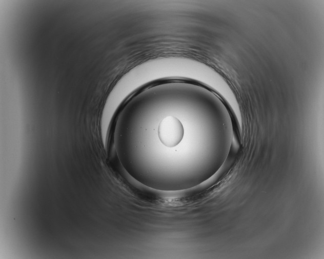 X0000094950141200711291421