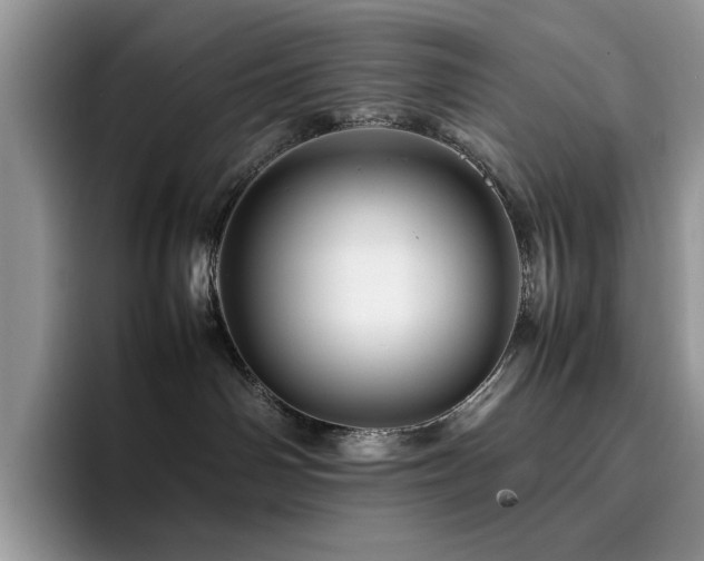 X0000094950142200711291421