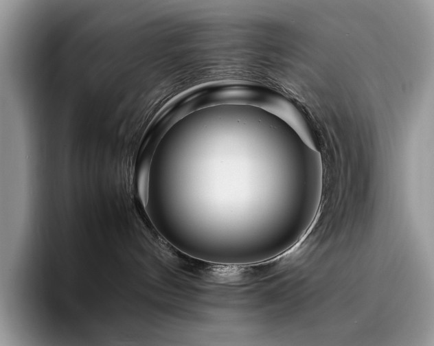 X0000094950144200711291421