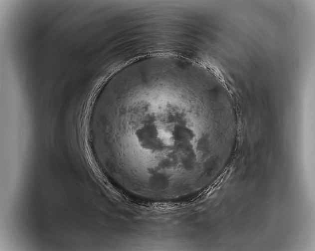 X0000094950145200711291420