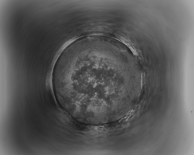 X0000094950147200711291420