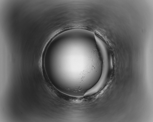 X0000094950148200711291420