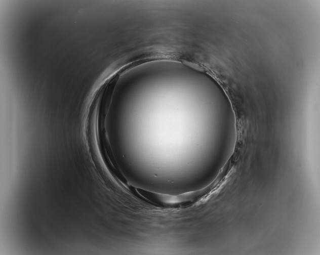 X0000094950150200711291420