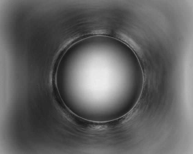 X0000094950155200711291420