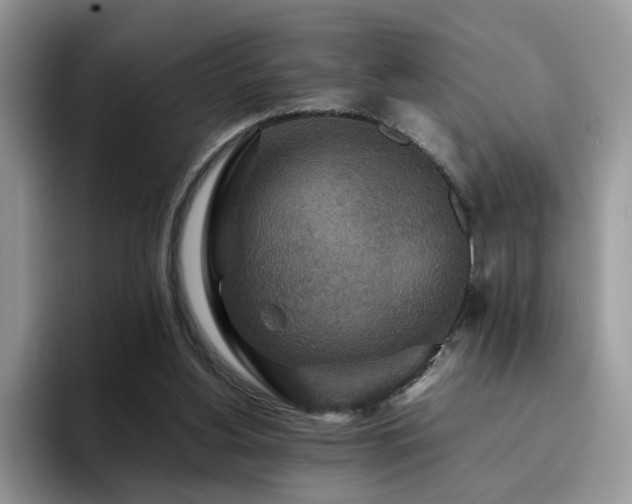 X0000094950156200711291420