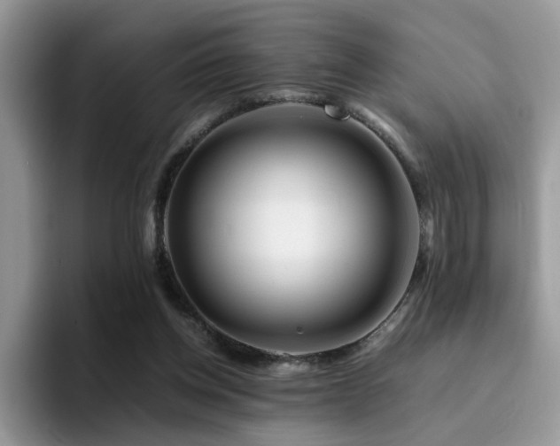 X0000094950158200711291420