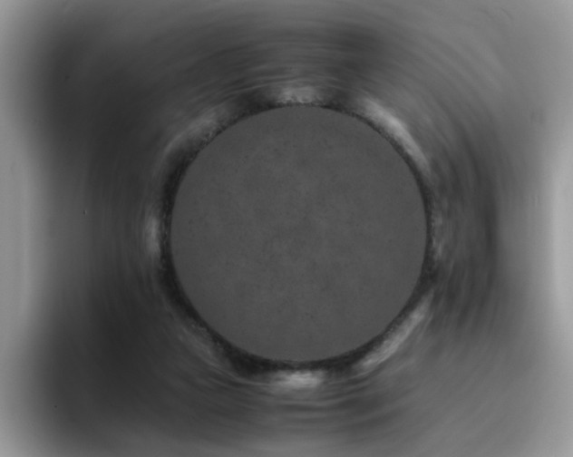 X0000094950161200711291420