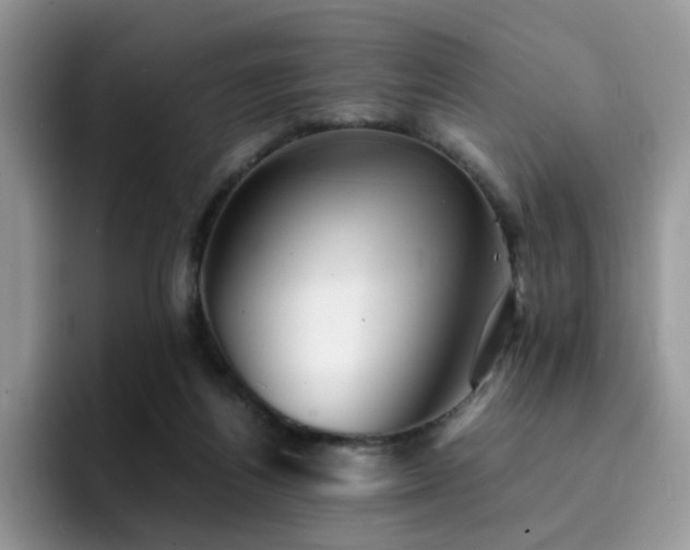 X0000094950164200711291420