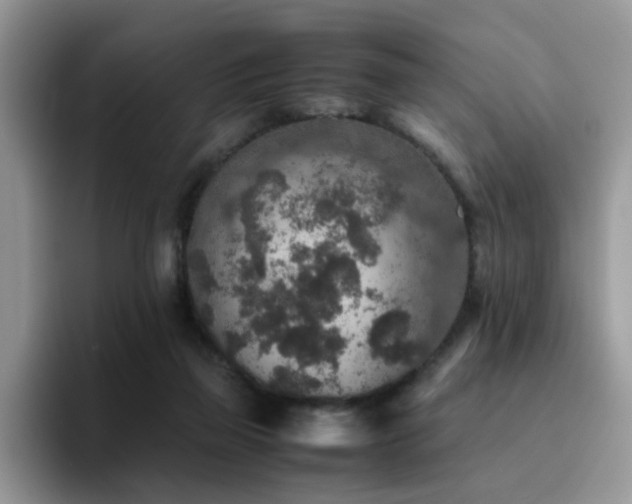 X0000094950165200711291420