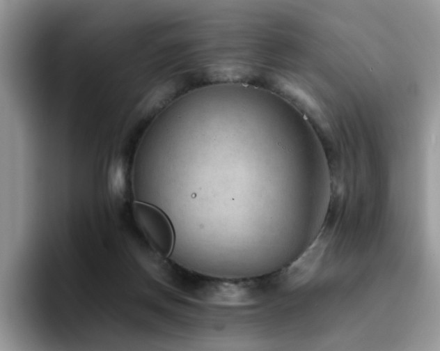 X0000094950166200711291420