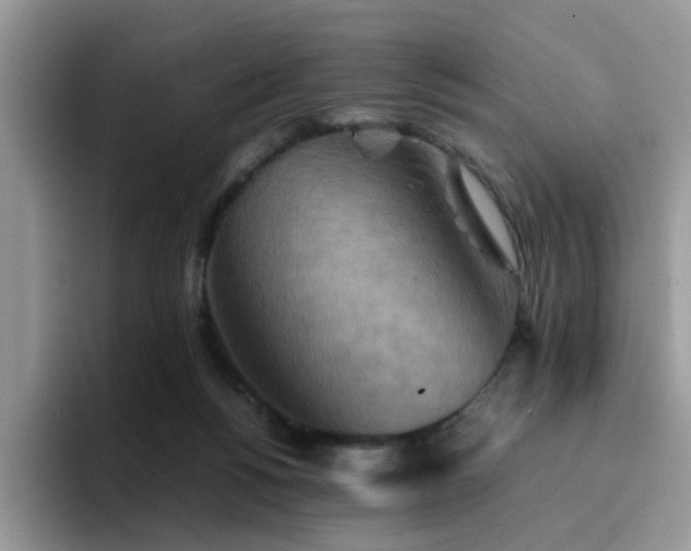 X0000094950168200711291420