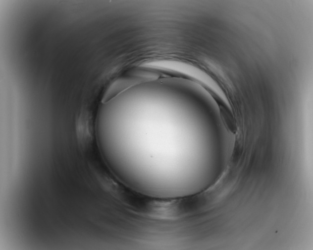 X0000094950170200711291420