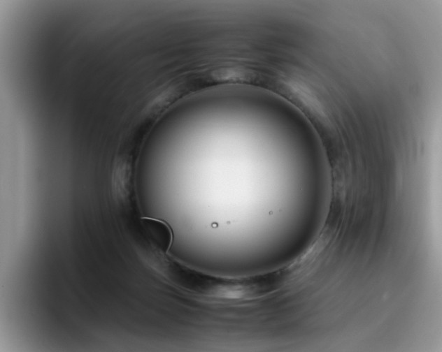 X0000094950171200711291420