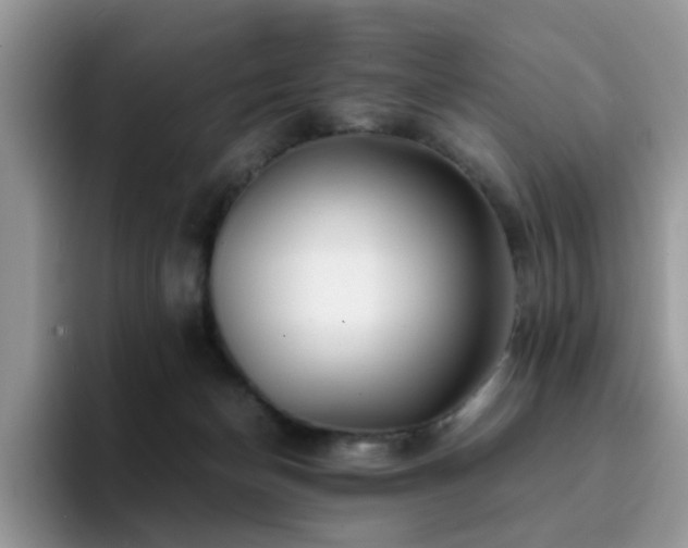 X0000094950174200711291420