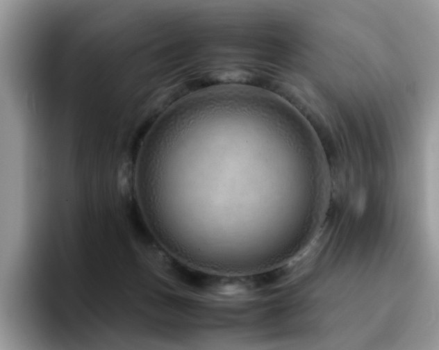 X0000094950175200711291420