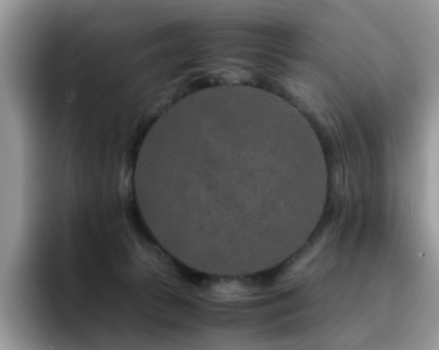 X0000094950177200711291421