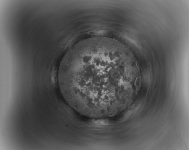 X0000094950181200711291421