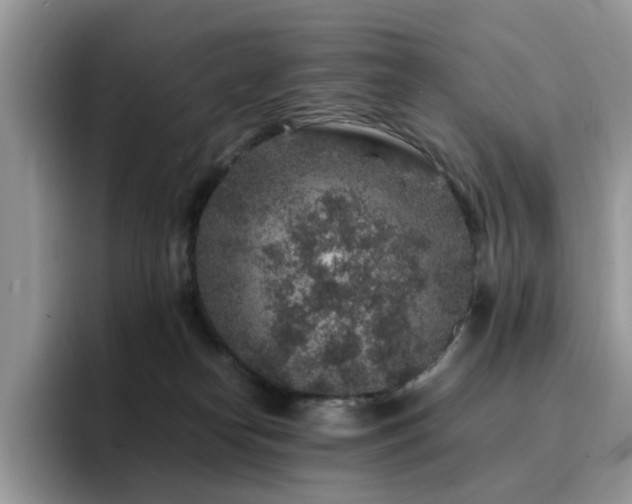 X0000094950182200711291421