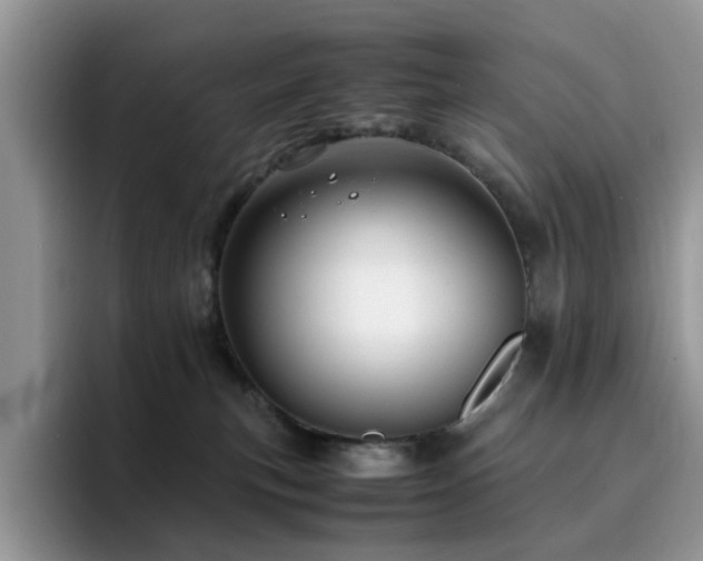 X0000094950183200711291421