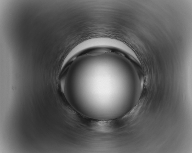 X0000094950184200711291421