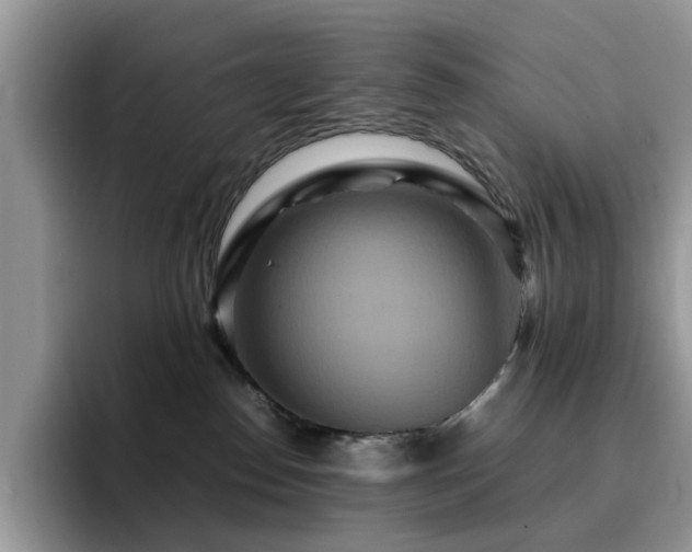 X0000094950186200711291421