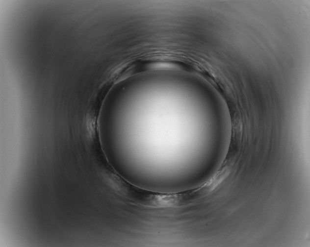 X0000094950188200711291421