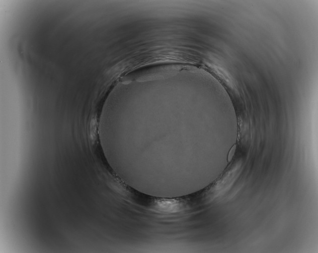 X0000094950189200711291421