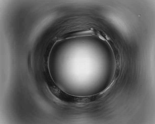 X0000094950191200711291421