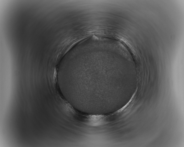 X0000094950192200711291421