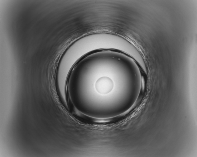 X0000094950193200711291420