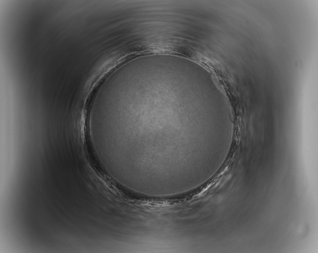 X0000094950194200711291420