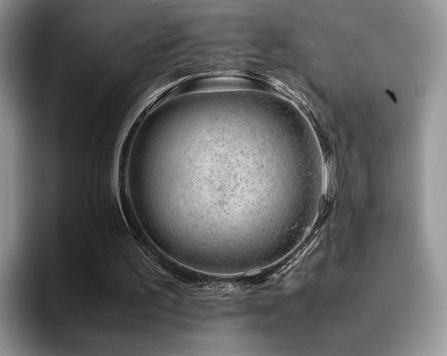 X0000094950195200711291420