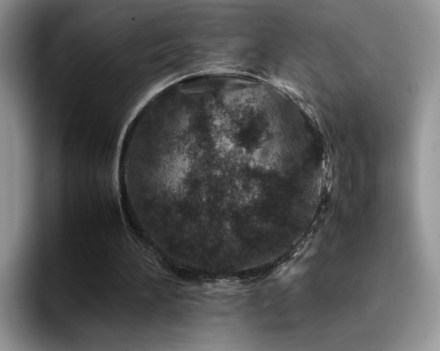 X0000094950196200711291420