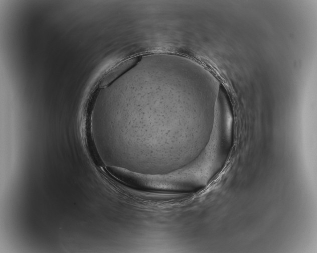 X0000094950197200711291420