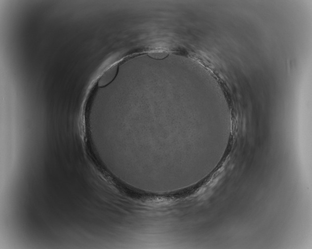 X0000094950198200711291420