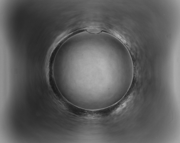 X0000094950199200711291420