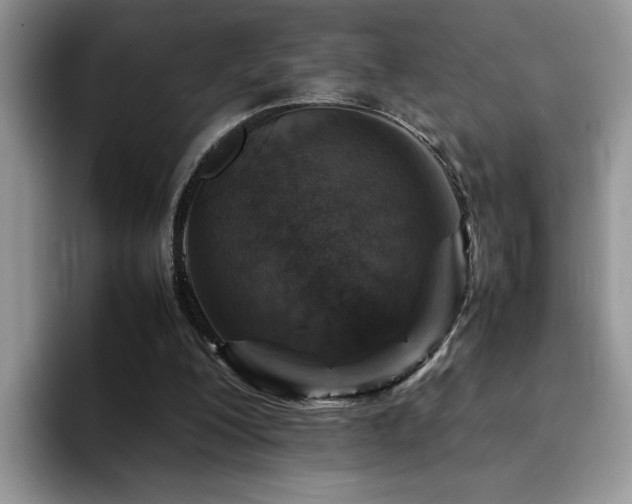 X0000094950200200711291420