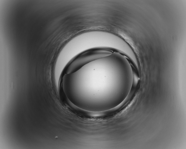 X0000094950201200711291420