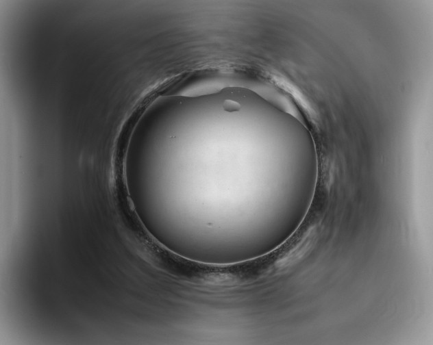 X0000094950203200711291420