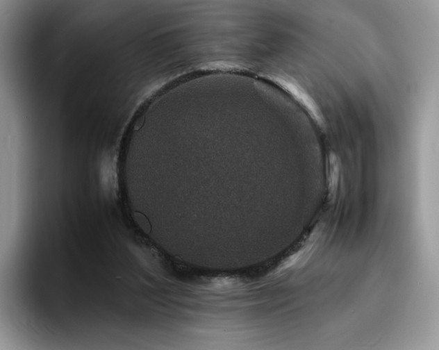 X0000094950204200711291420