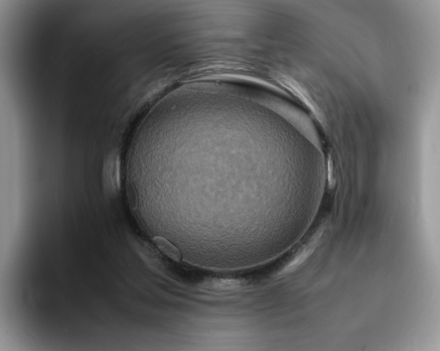 X0000094950205200711291420