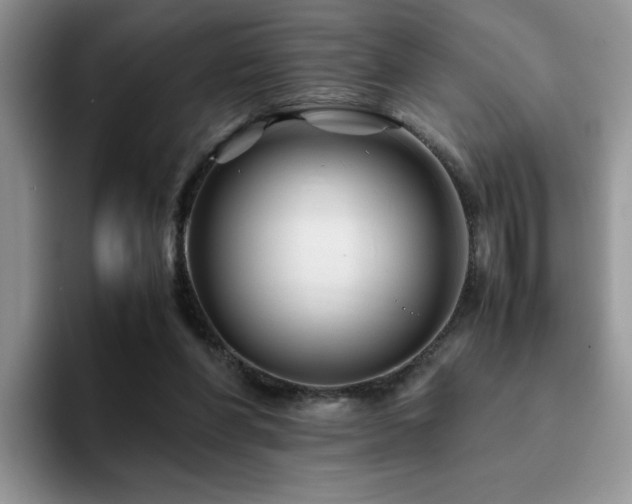 X0000094950206200711291420