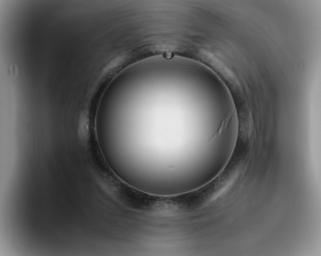 X0000094950207200711291420