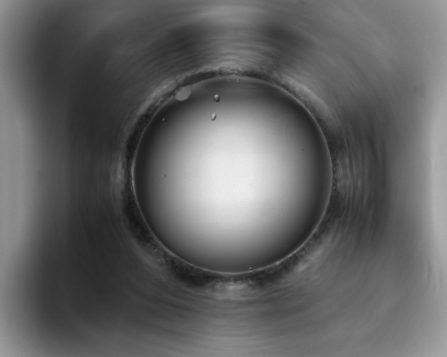 X0000094950208200711291420