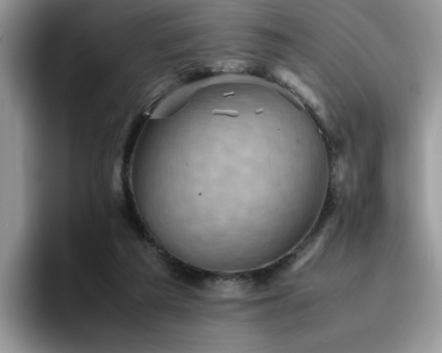 X0000094950209200711291420