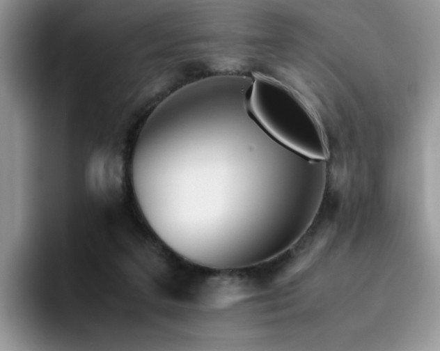 X0000094950211200711291420