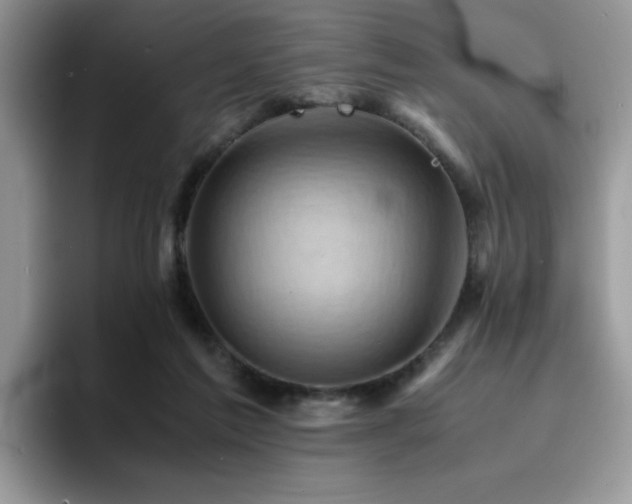 X0000094950213200711291420