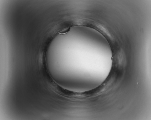 X0000094950217200711291420