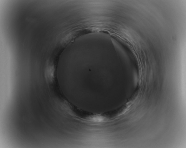 X0000094950219200711291420