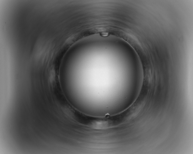 X0000094950220200711291420